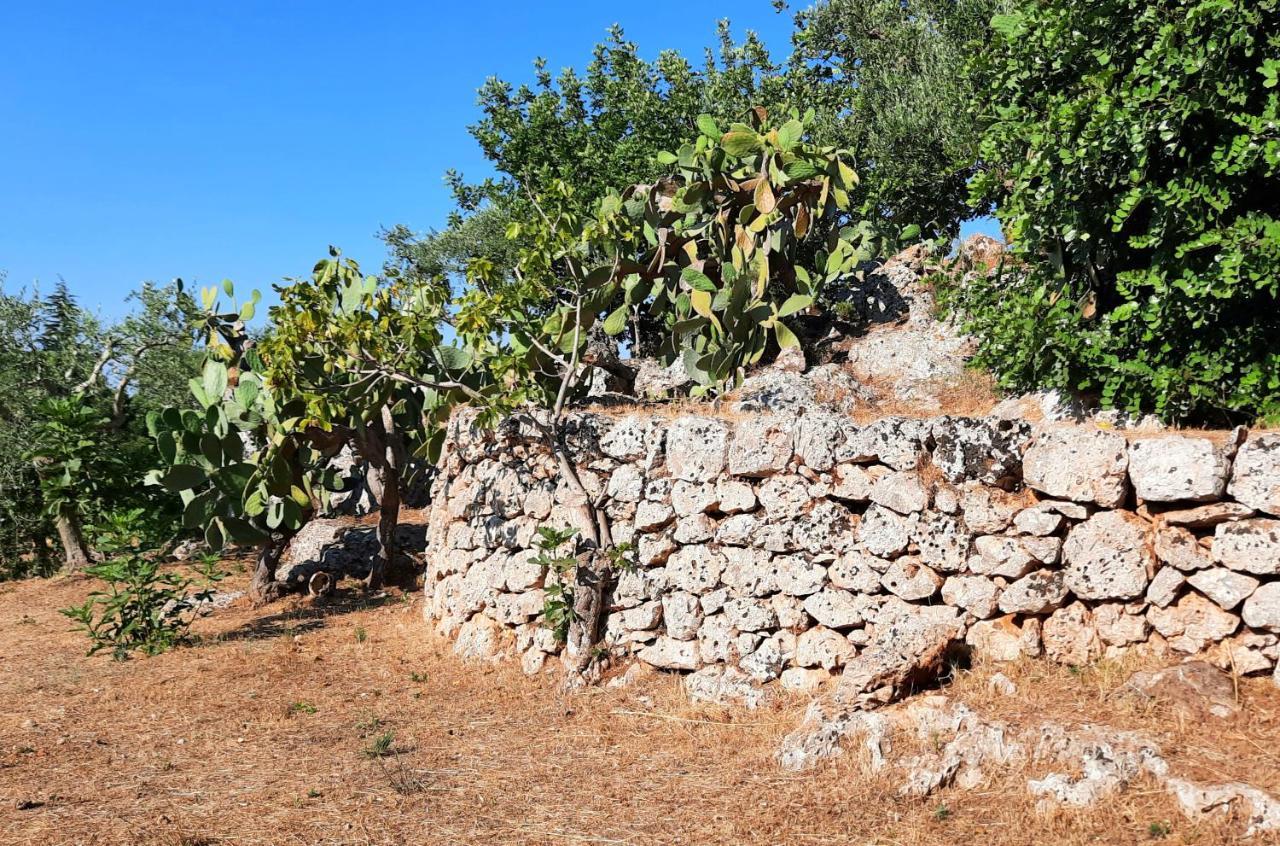 I Due Carrubi Villa Ostuni Exterior foto